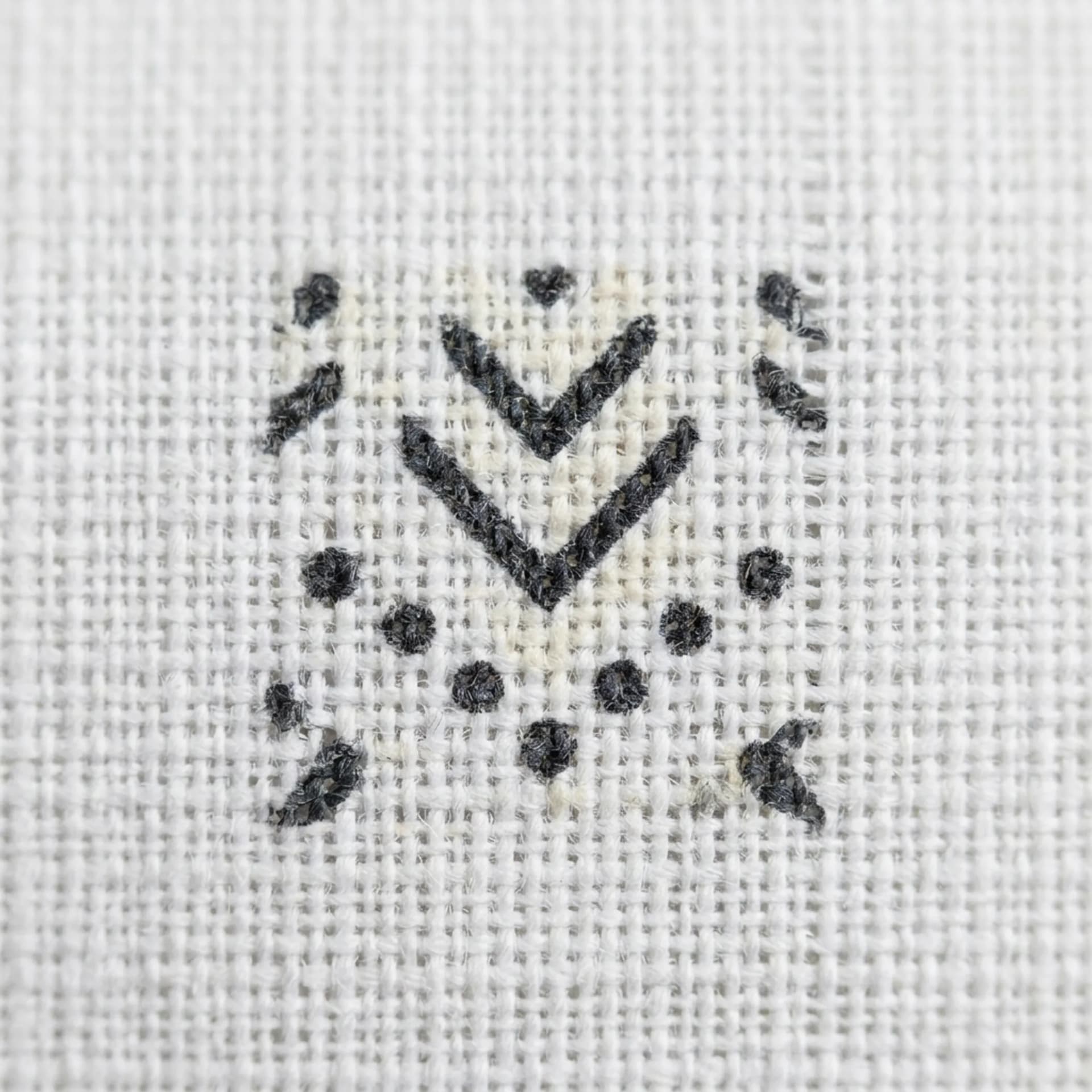 Placement Print Cotton Poplin Test Panel 2